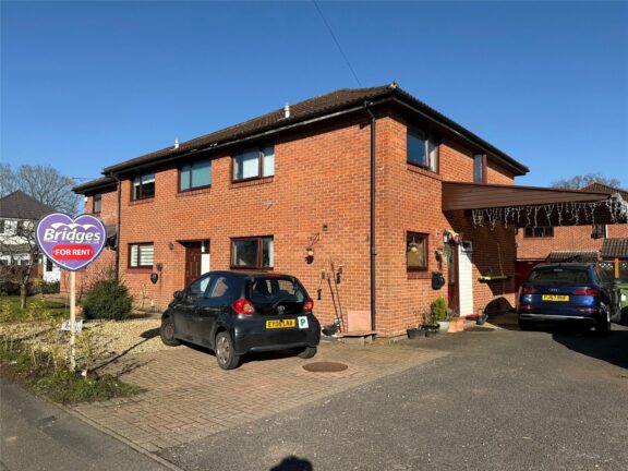 Bruntile Close Image