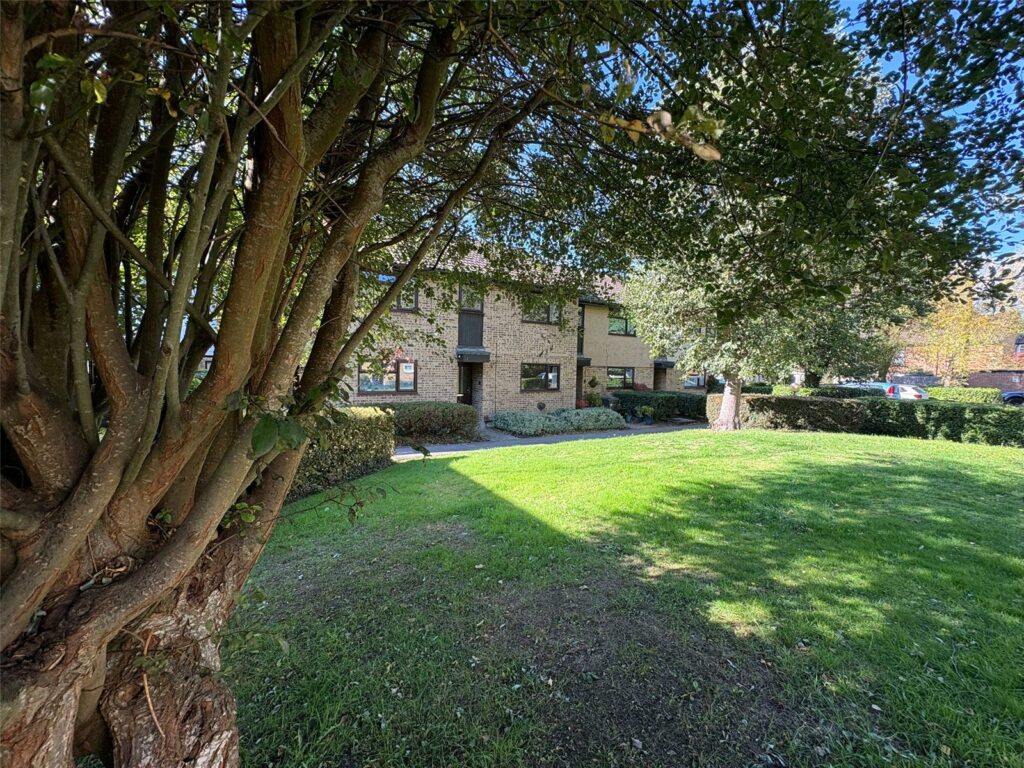 Property Image_15