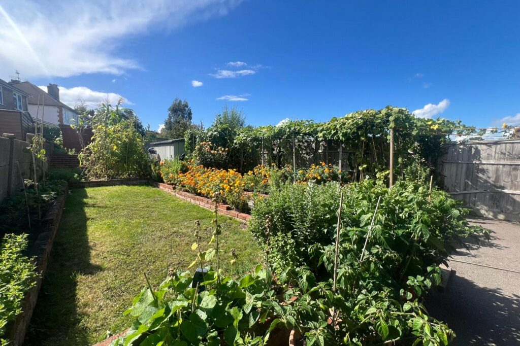 Property Image_7