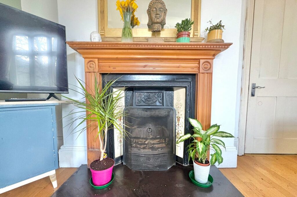 Property Image_6