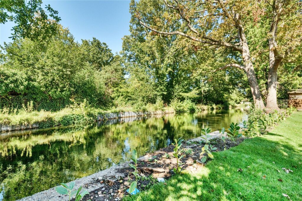 Property Image_15