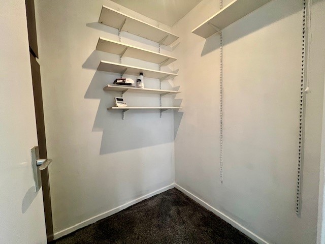 Property Image_15