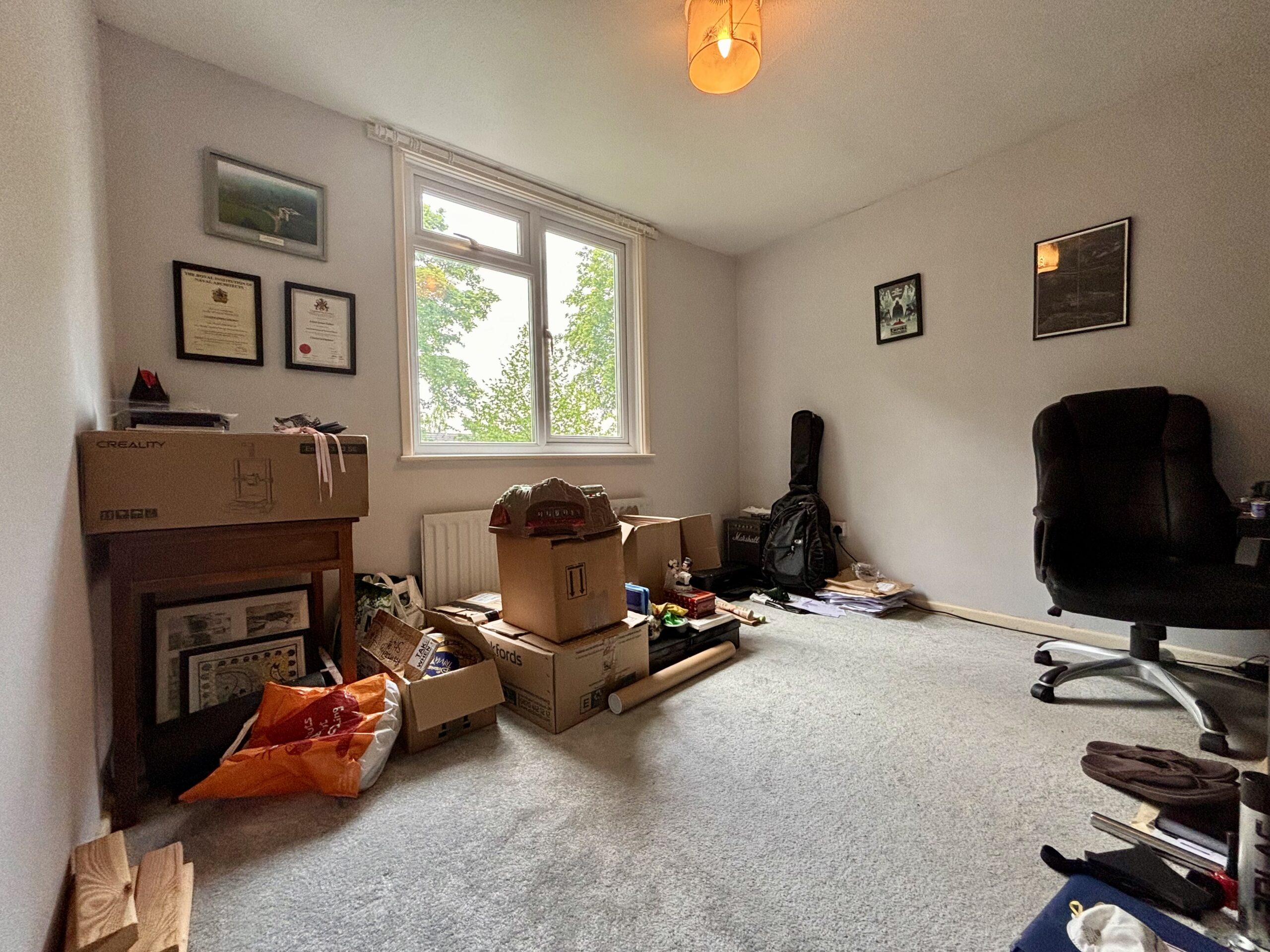 BAL240072_07.jpg