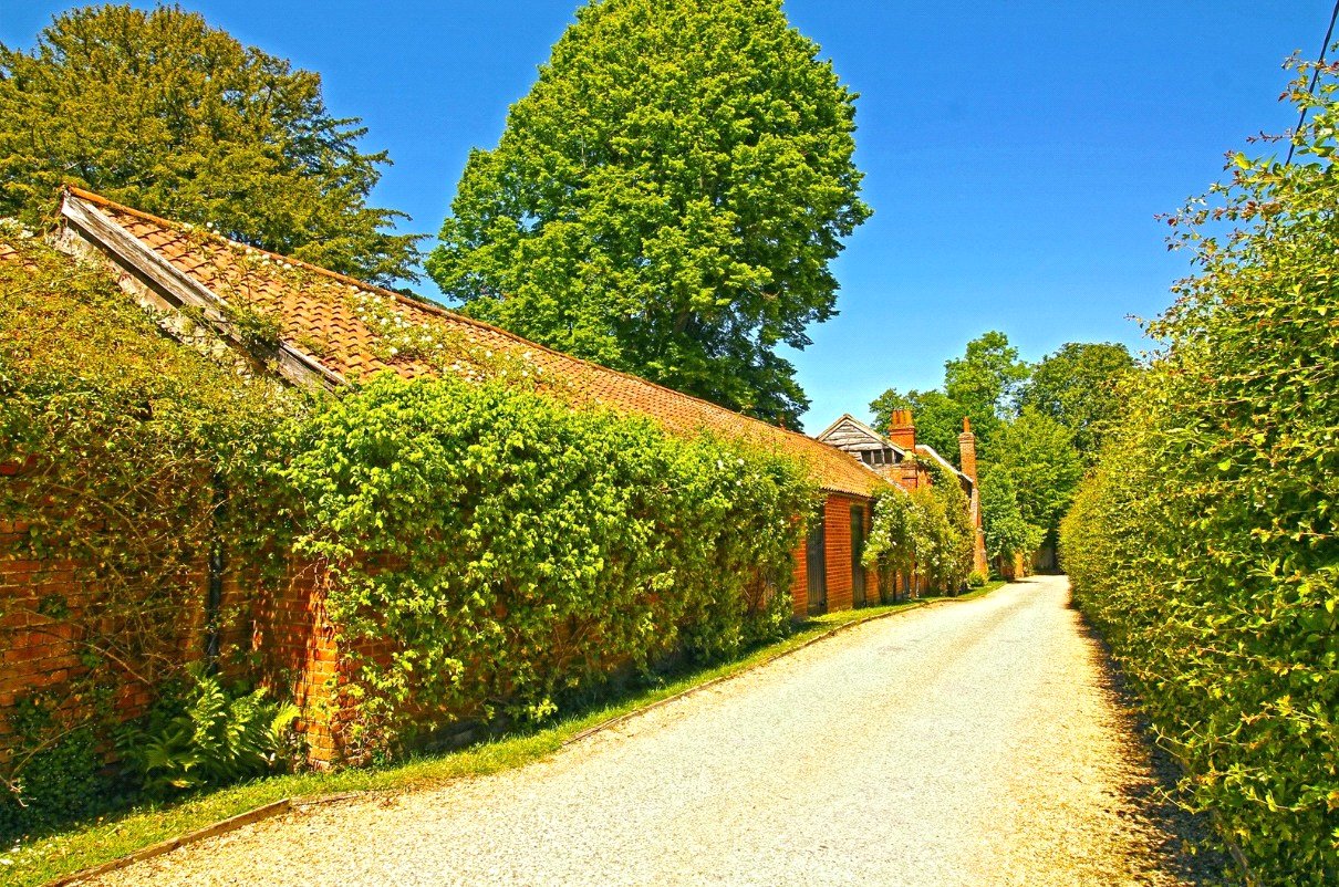 BAL240141_02.jpg
