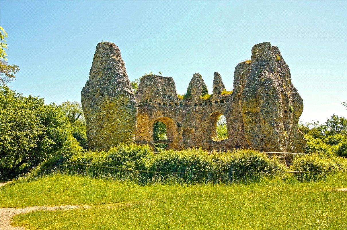 BAL240141_06.jpg