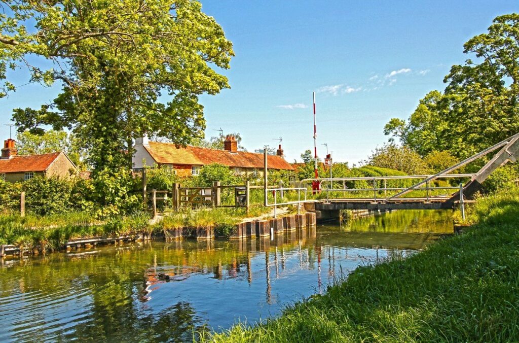 Property Image_10