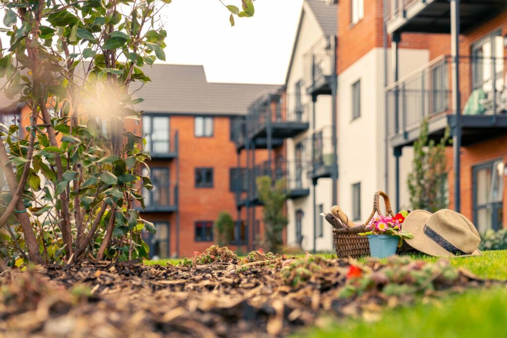 Property Image_15