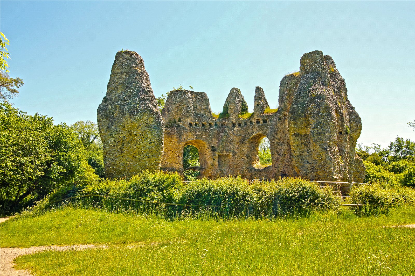 BAL250086_05.jpg