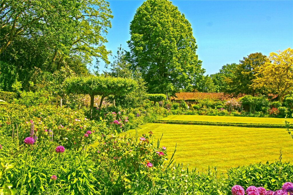 Property Image_6