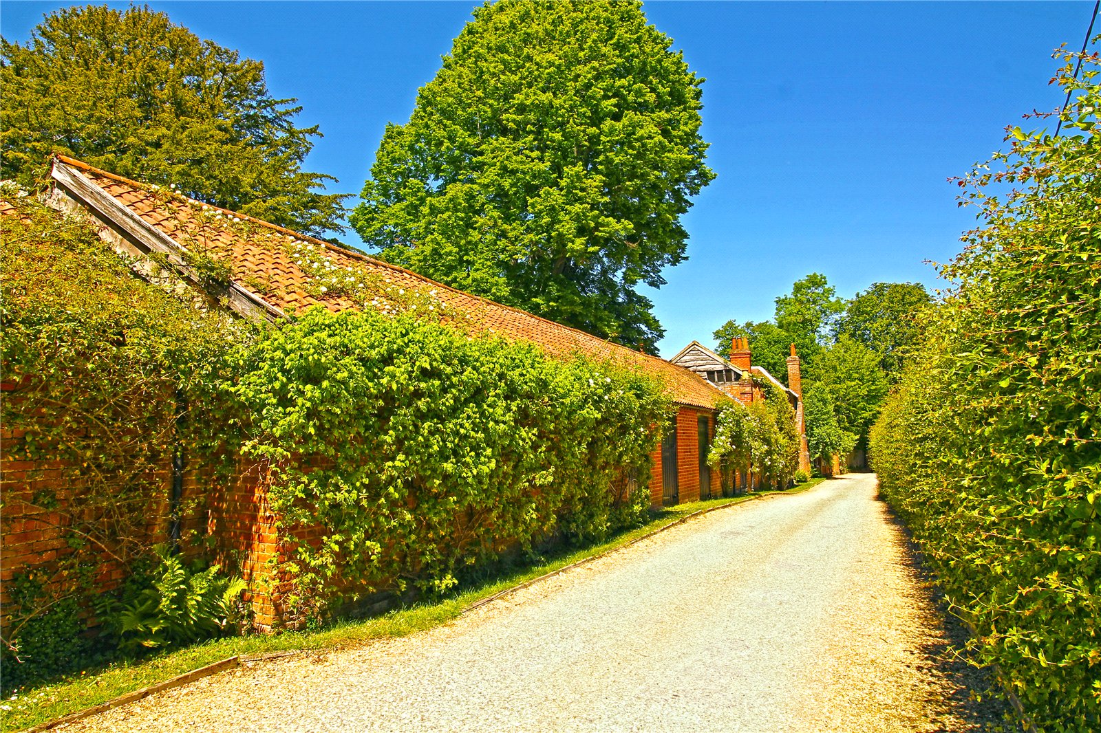BAL250086_10.jpg