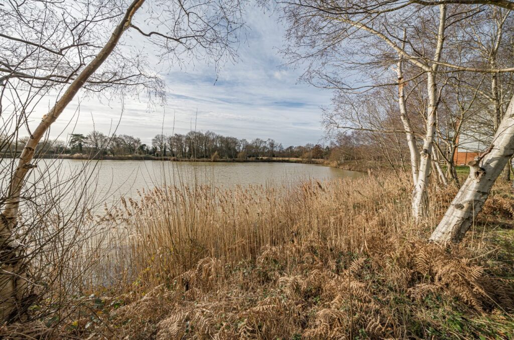 Property Image_21