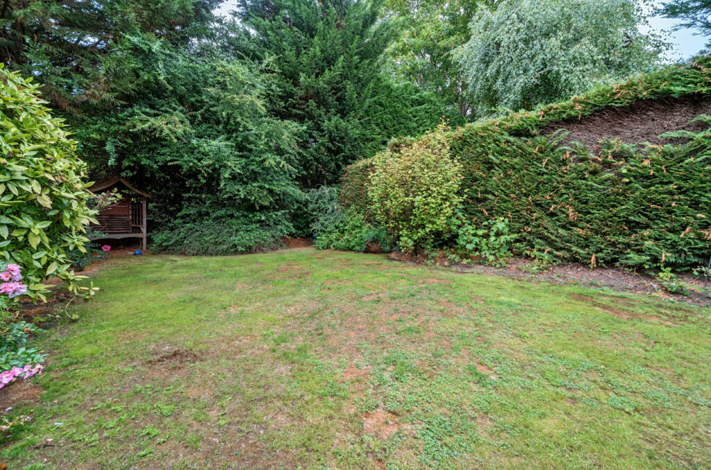 Property Image_16