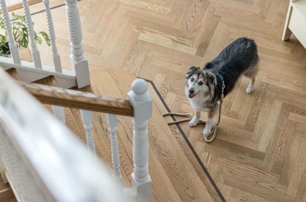 Property Image_22