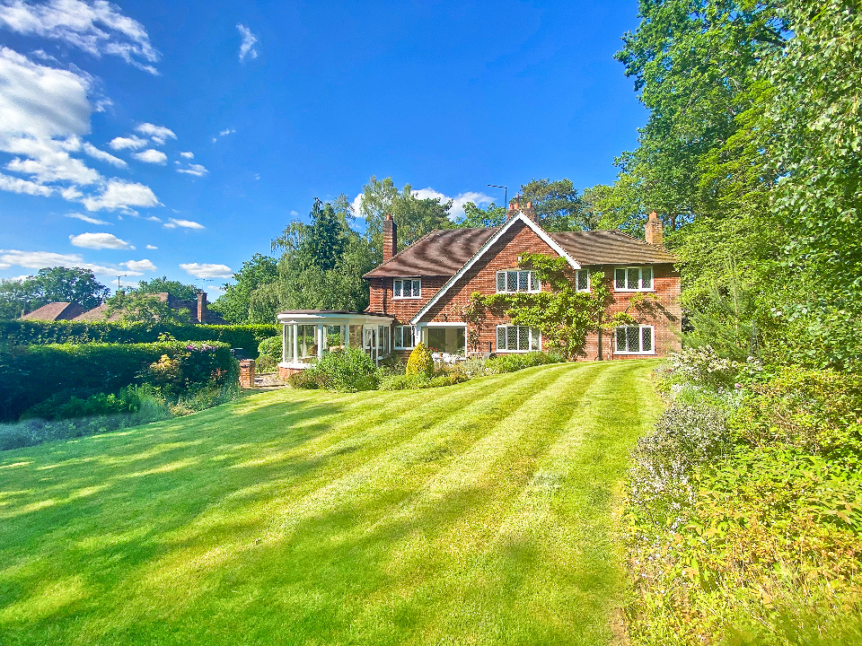 Property Image_22