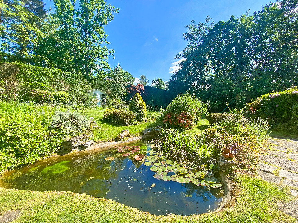 Property Image_25