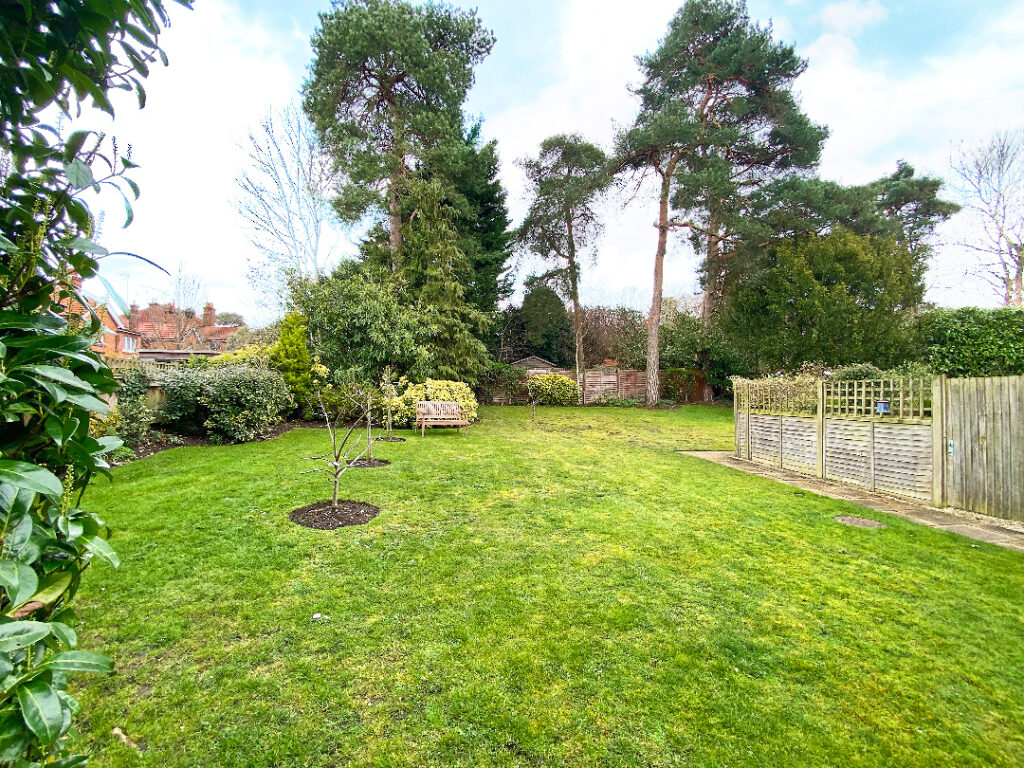 Property Image_13
