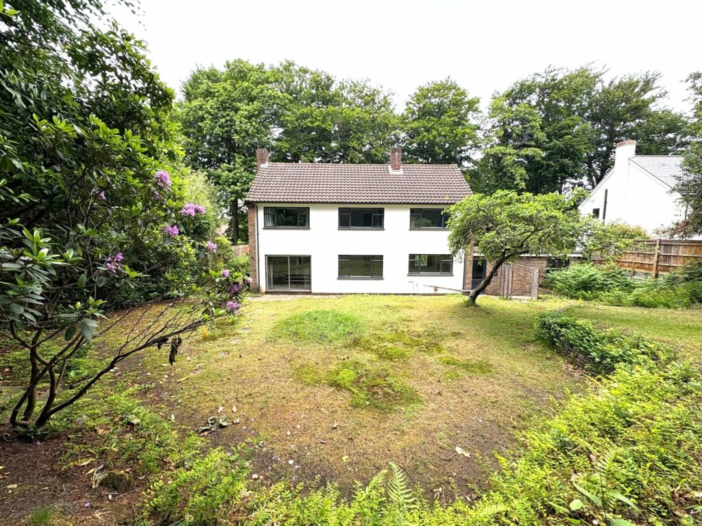 Property Image_14