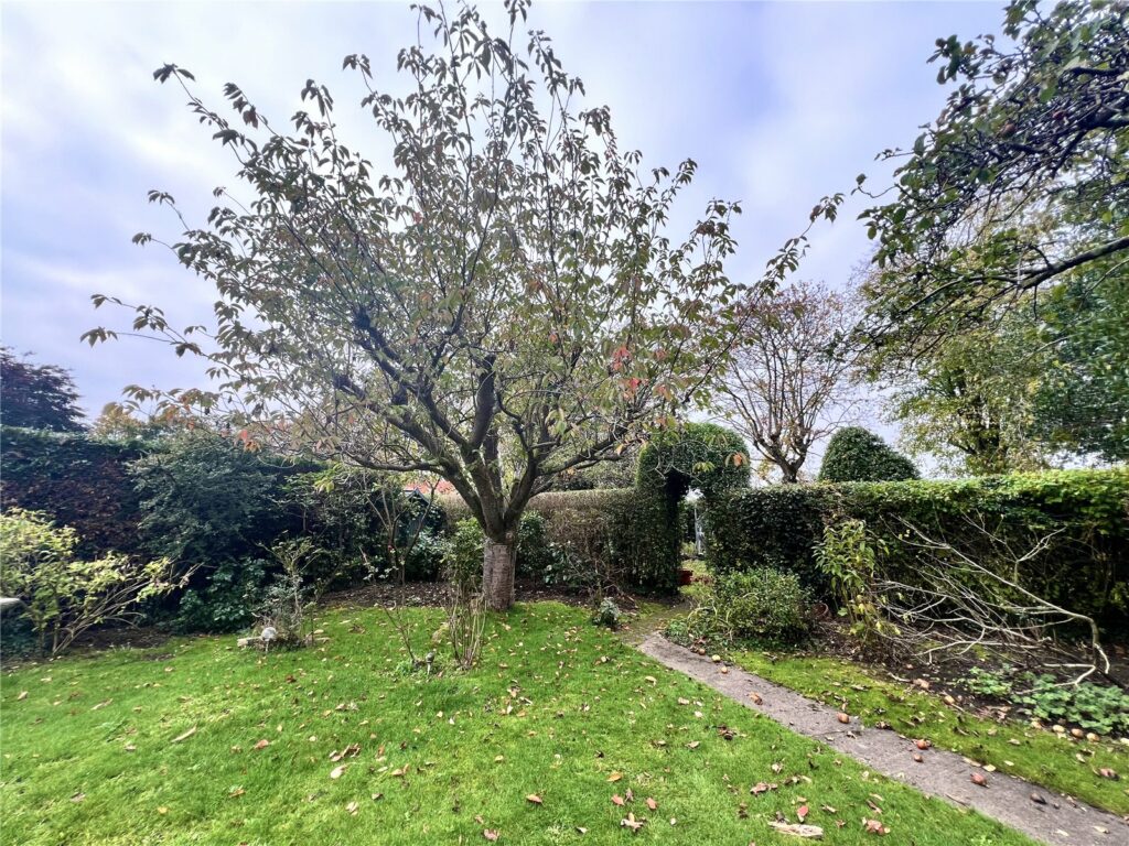 Property Image_26