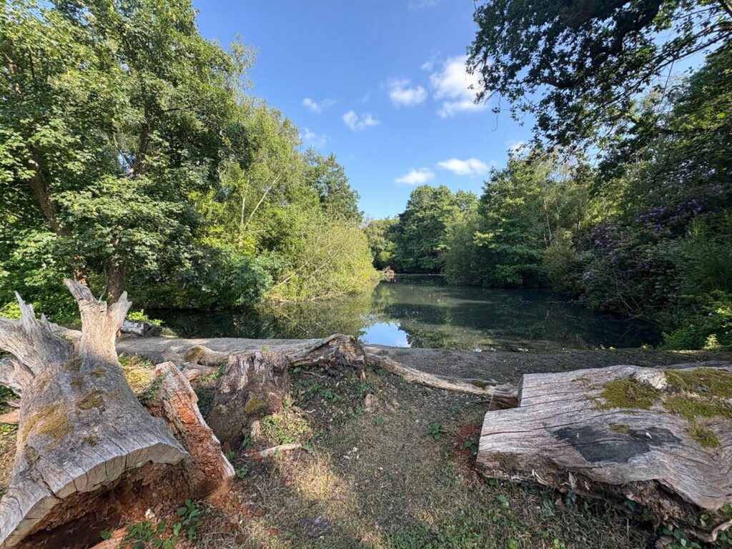 Property Image_29