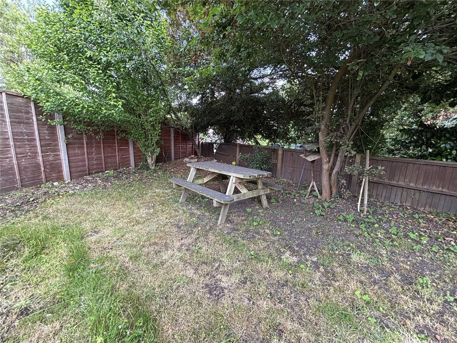 COL250079_10.jpg
