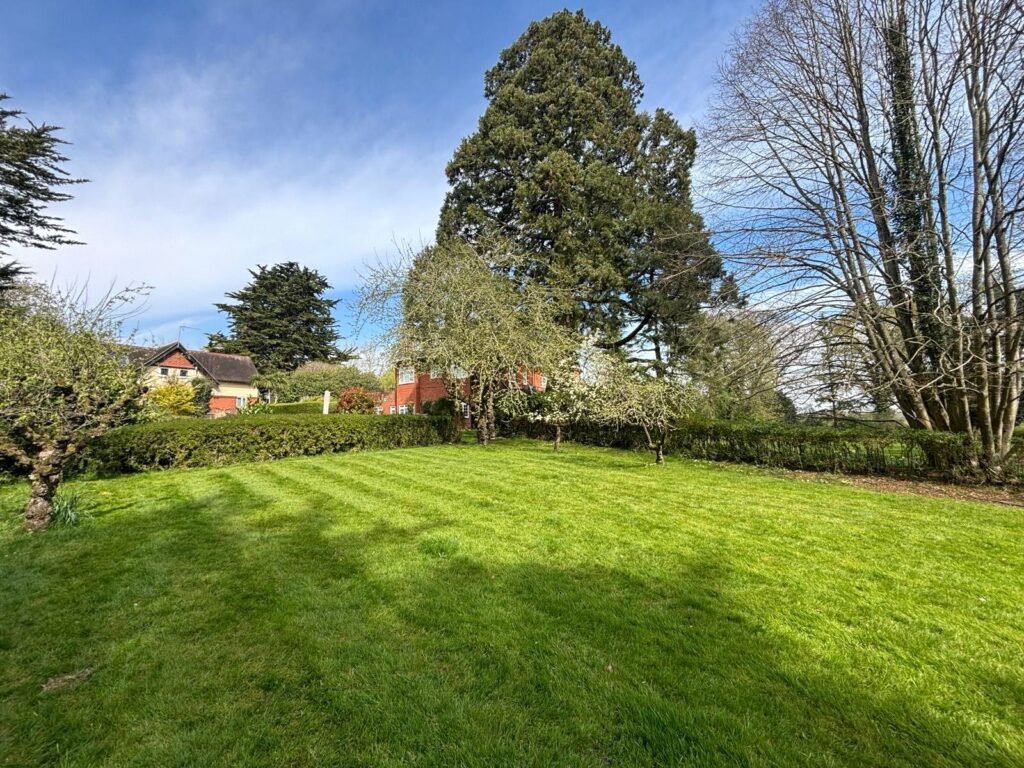 Property Image_9