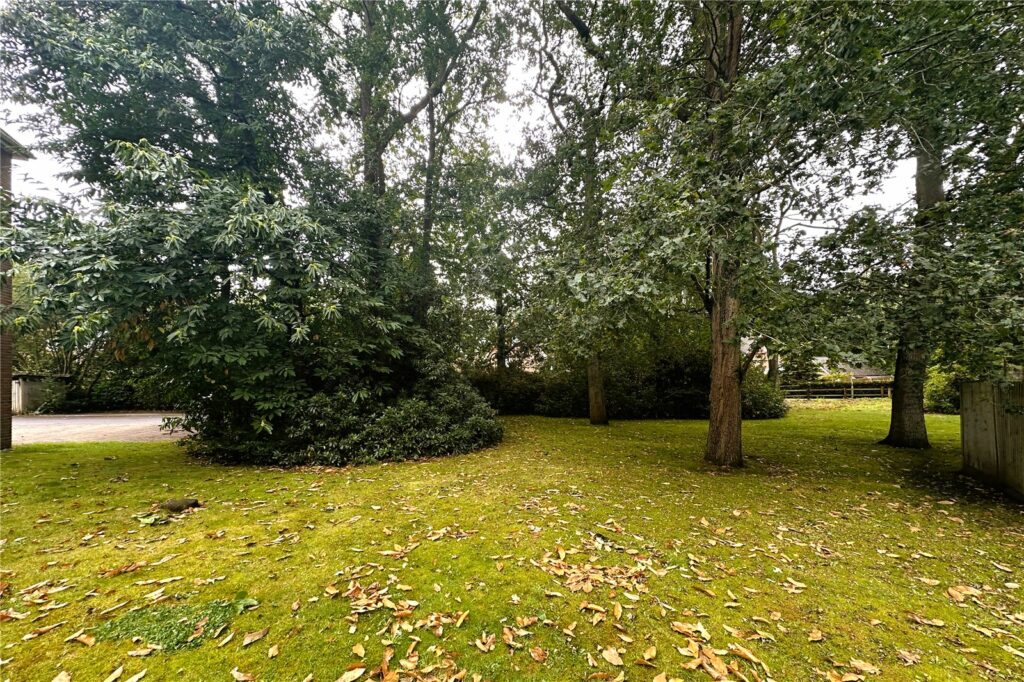 Property Image_12