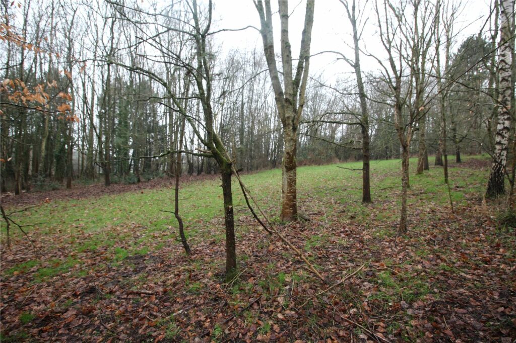Property Image_18