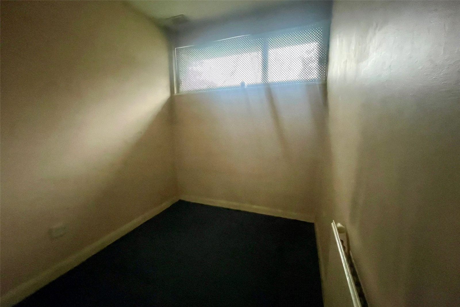 FRI250011_10.jpg