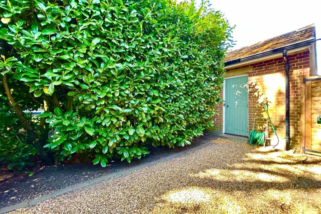 Property Image_12