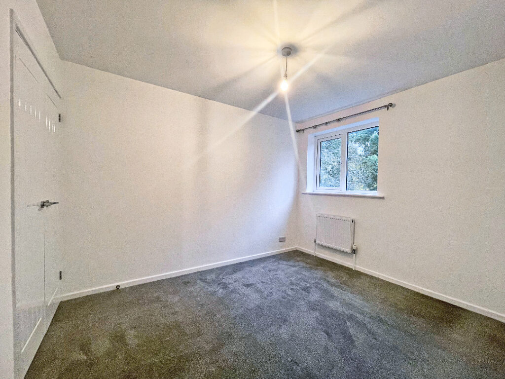 Property Image_11