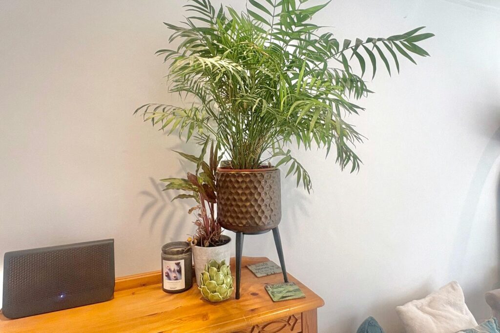Property Image_12
