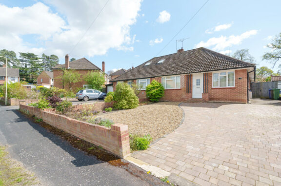 Silver Birch Close Image