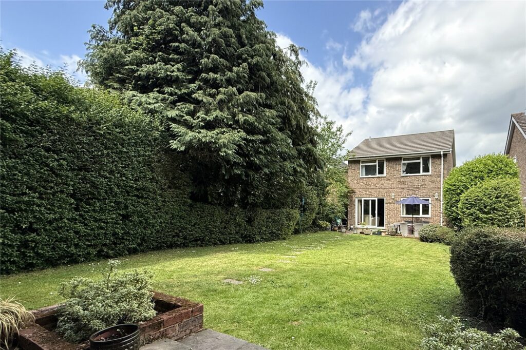 Property Image_15