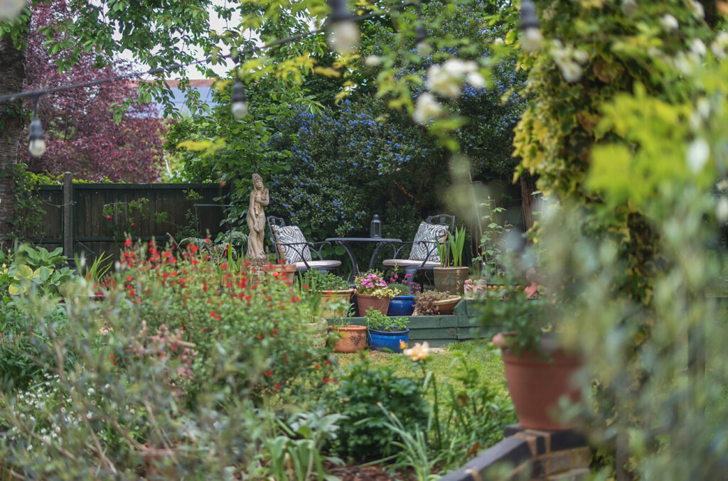 Property Image_19