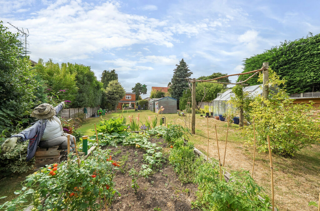 Property Image_7