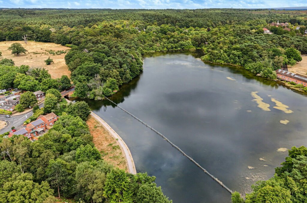 Property Image_21