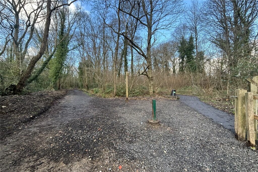 Property Image_16