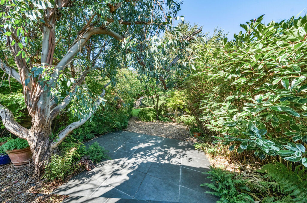 Property Image_18