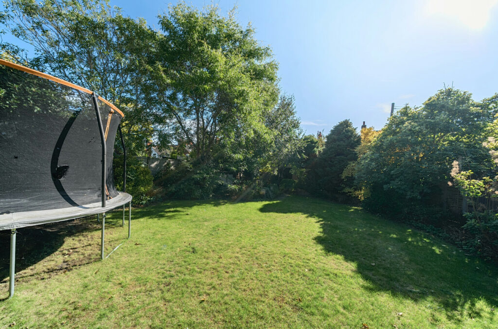 Property Image_19