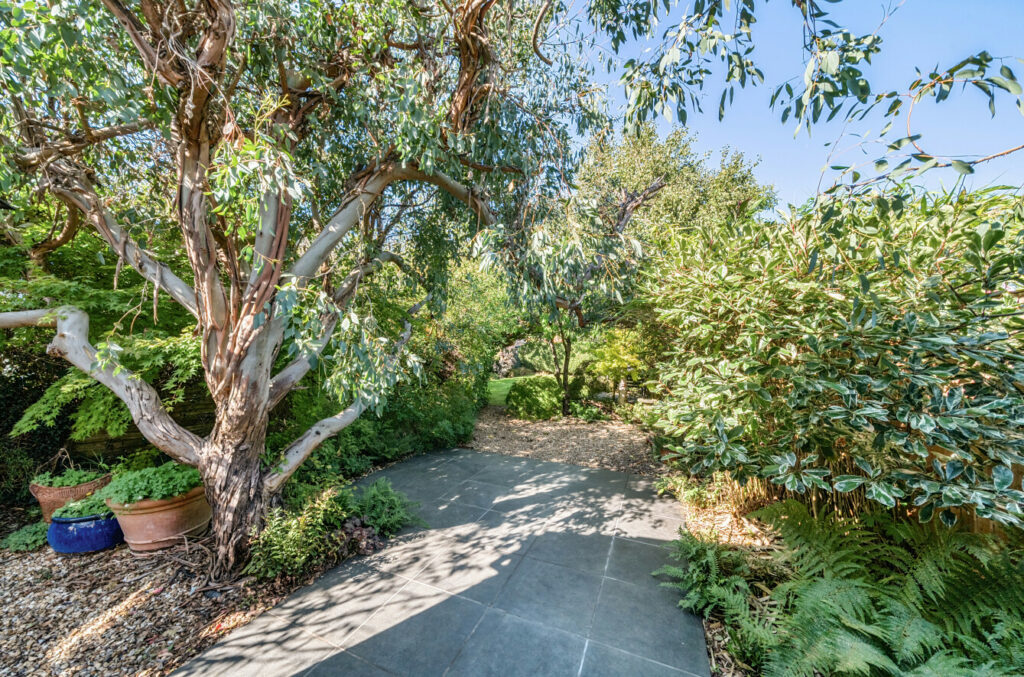 Property Image_21