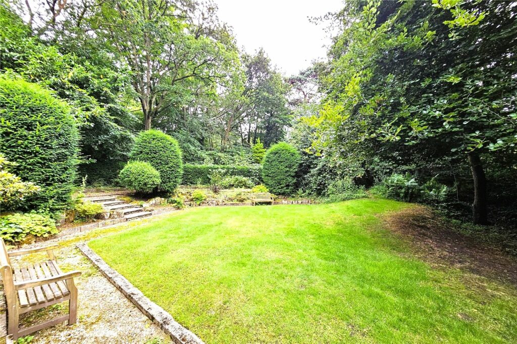 Property Image_15