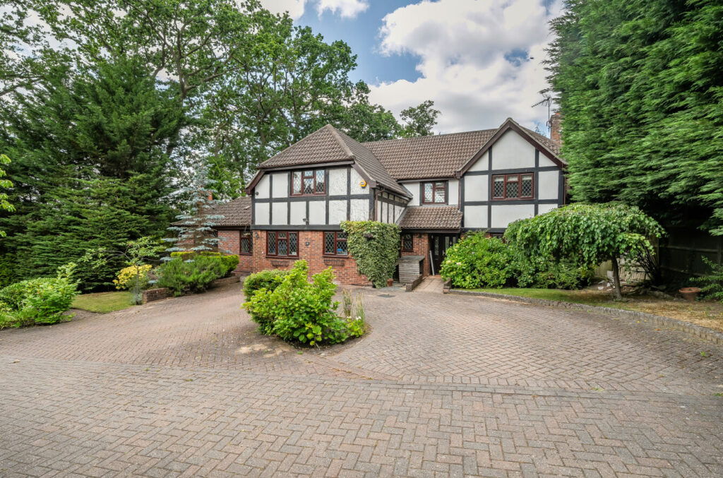 Property Image_19