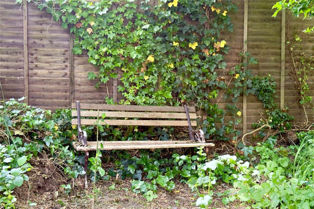 Property Image_17