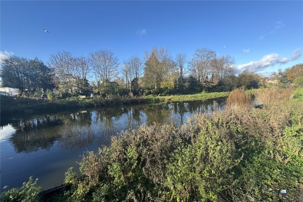 Property Image_6