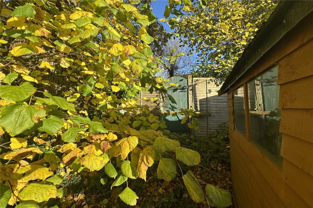 Property Image_8