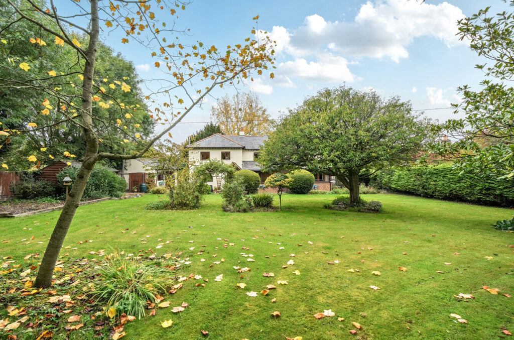 Property Image_19