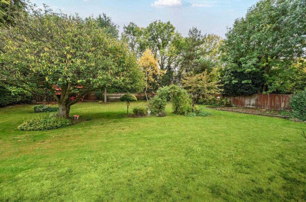 Property Image_18