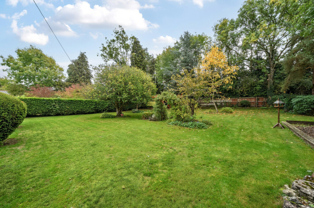 Property Image_17