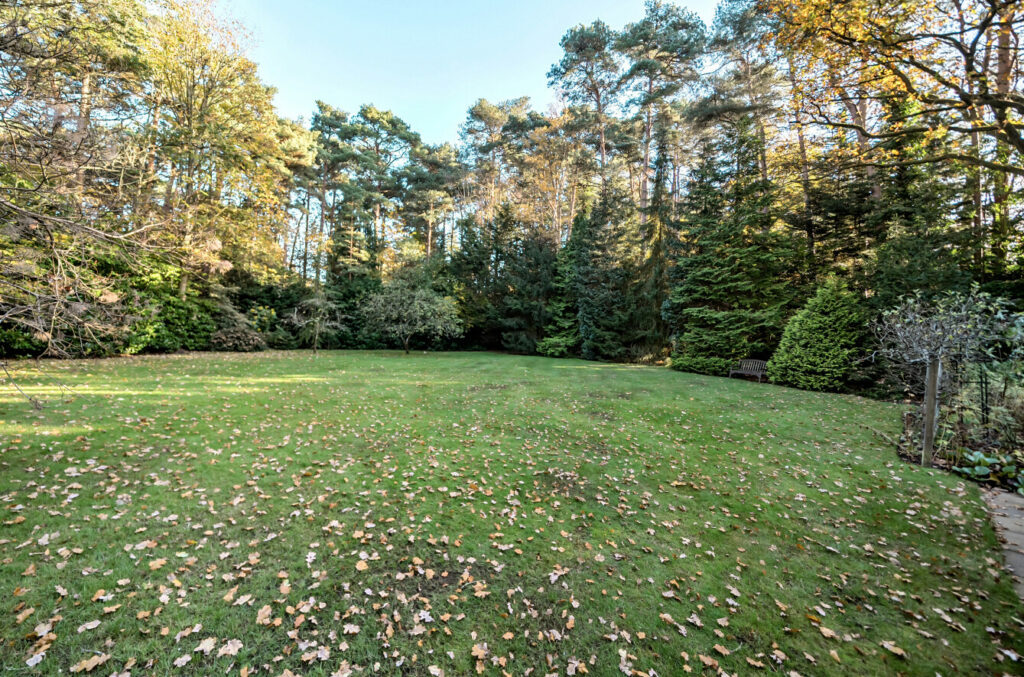 Property Image_7