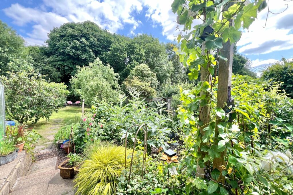 Property Image_8